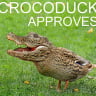 CrocoDuck