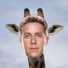 Giraffe Keighley